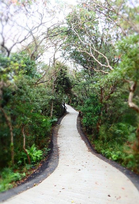 明神崎展望台 明神崎展望台