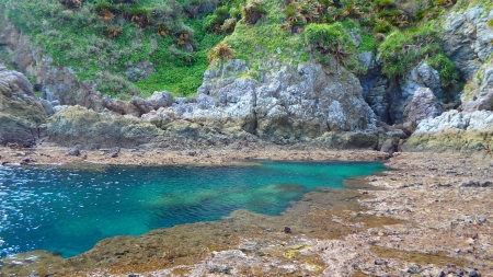 奄美の風景 奄美の風景