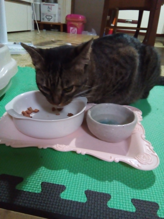 おはようございます おはようございます