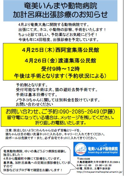 加計呂麻島診療の日程 加計呂麻島診療の日程