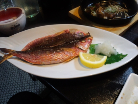 昨日のエビ児!!