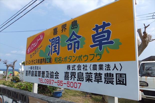 野性味( ´ ▽ ` )ノばんめしのおかず採り。