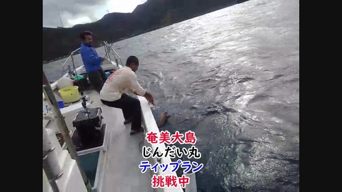 知識・運動の幼児教育を! 知識・運動の幼児教育を!
