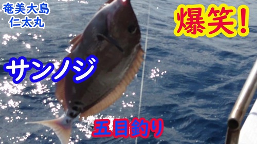 特産品のために加工場を安く! 特産品のために加工場を安く!