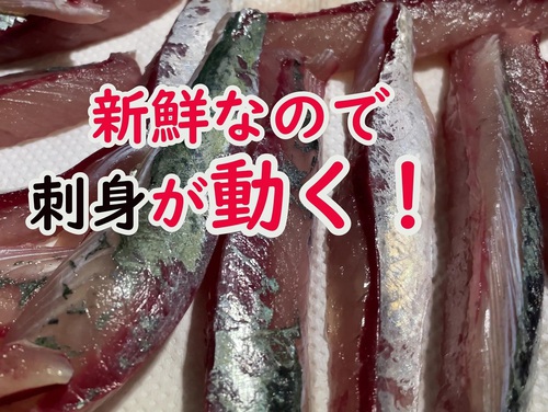 歴史館の整備 歴史館の整備