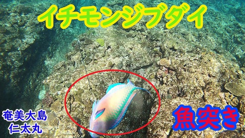ドローンの観光活用を! ドローンの観光活用を!
