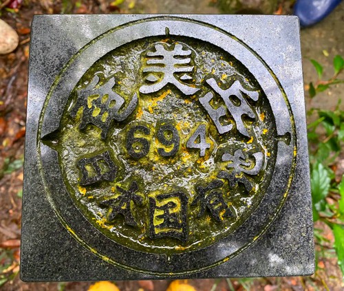 政策:幼児教育など! 政策:幼児教育など!
