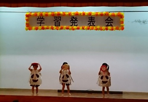 次の議会報告会は! 次の議会報告会は!