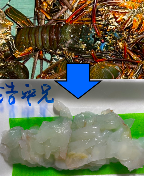 さすがに予定があるわ… さすがに予定があるわ…