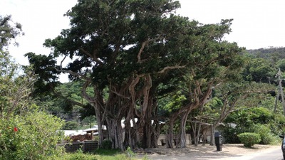 加計呂間島に行ってきました