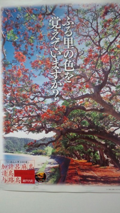 加計呂間島に行ってきました