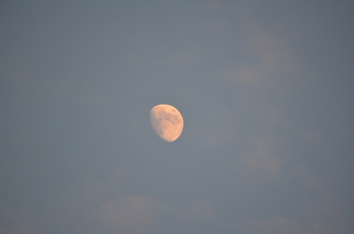ピンクの空と月
