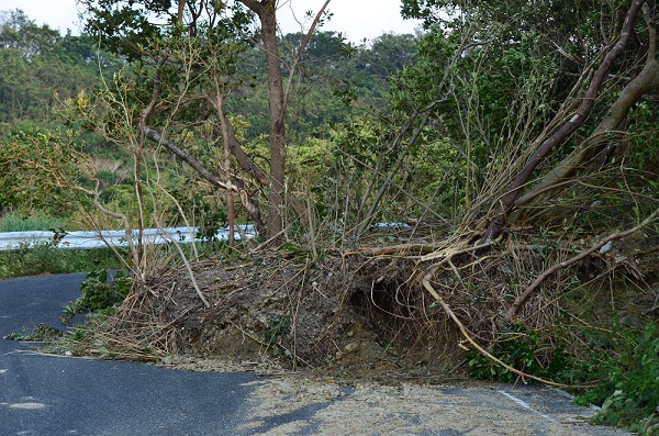 台風の被害