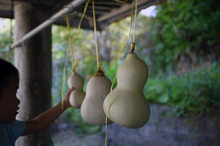 瓢箪