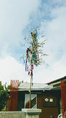 七夕飾り(^-^)v 七夕飾り(^-^)v