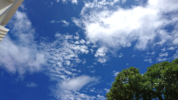 ☆青空(^^♪ ☆青空(^^♪