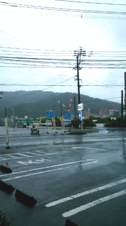 ☆雨ですね・・・ ☆雨ですね・・・