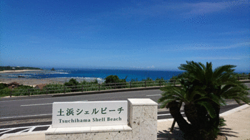 ☆綺麗♪ ☆綺麗♪