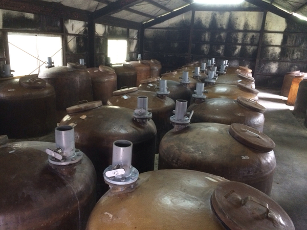 幻のきび酢を求めて・・・加計呂麻島