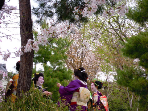 なんちやって・・・芸者はん(^^♪