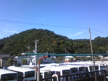 久しぶりの日差し♪