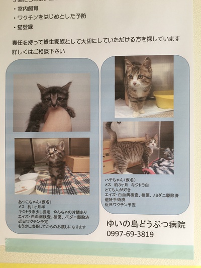 動物病院行ってきたd(^_^o) 動物病院行ってきたd(^_^o)