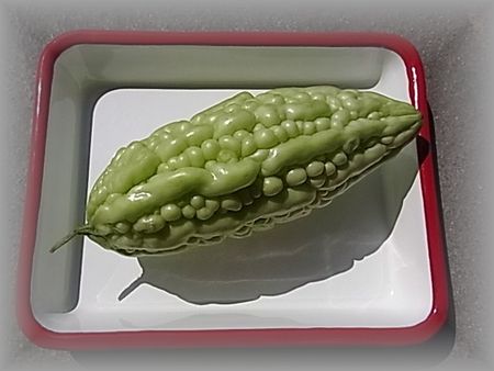 白ゴ―ヤ