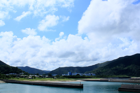 小湊