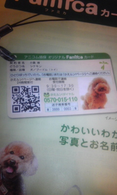 普通なの?