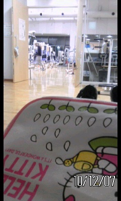 ゚。*:GYM5:*。゚