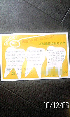 ゚。*:8020 歯歯歯:*。゚