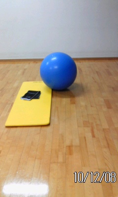 ゚。*:GYM6:*。゚