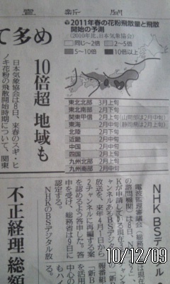 ゚。*:本日のフムフム:*。゚
