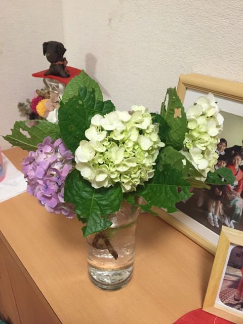 夏? 夏?