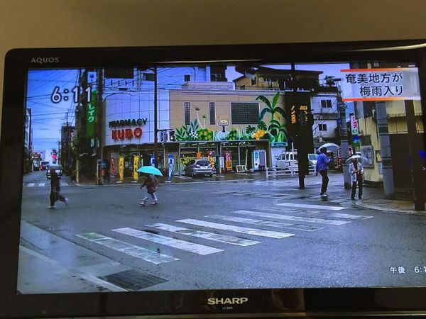 梅雨入り!!は昨日でした! 梅雨入り!!は昨日でした!