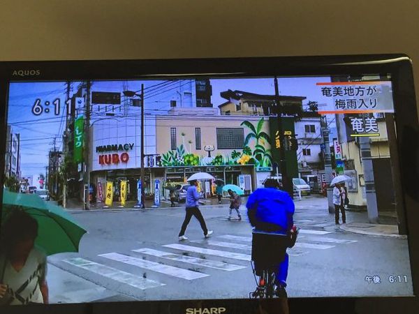 梅雨入り!!は昨日でした! 梅雨入り!!は昨日でした!