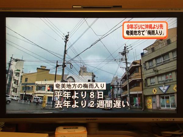 梅雨入り!!は昨日でした! 梅雨入り!!は昨日でした!