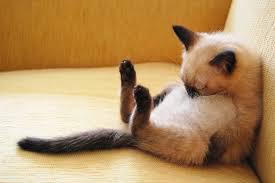 ぐっすり眠るための7か条! ぐっすり眠るための7か条!