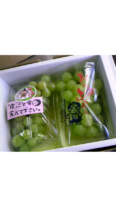 お出かけの続き