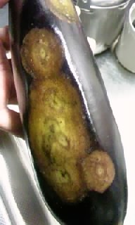 満月も色いろいろ