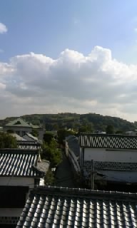 本日の‥ (11/09)