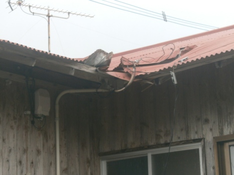 台風の被害状況