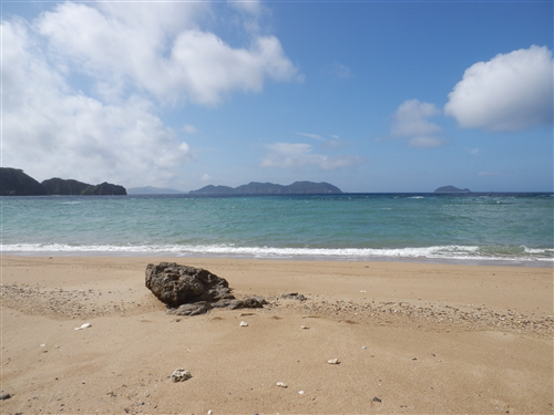 サワラちゃんの加計呂麻島・貝採り日記-022