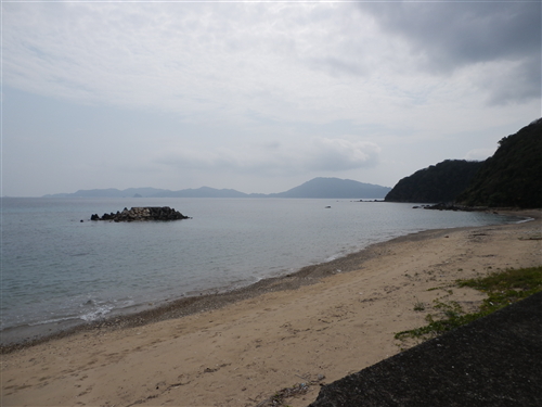 サワラちゃんの加計呂麻島・貝採り日記9