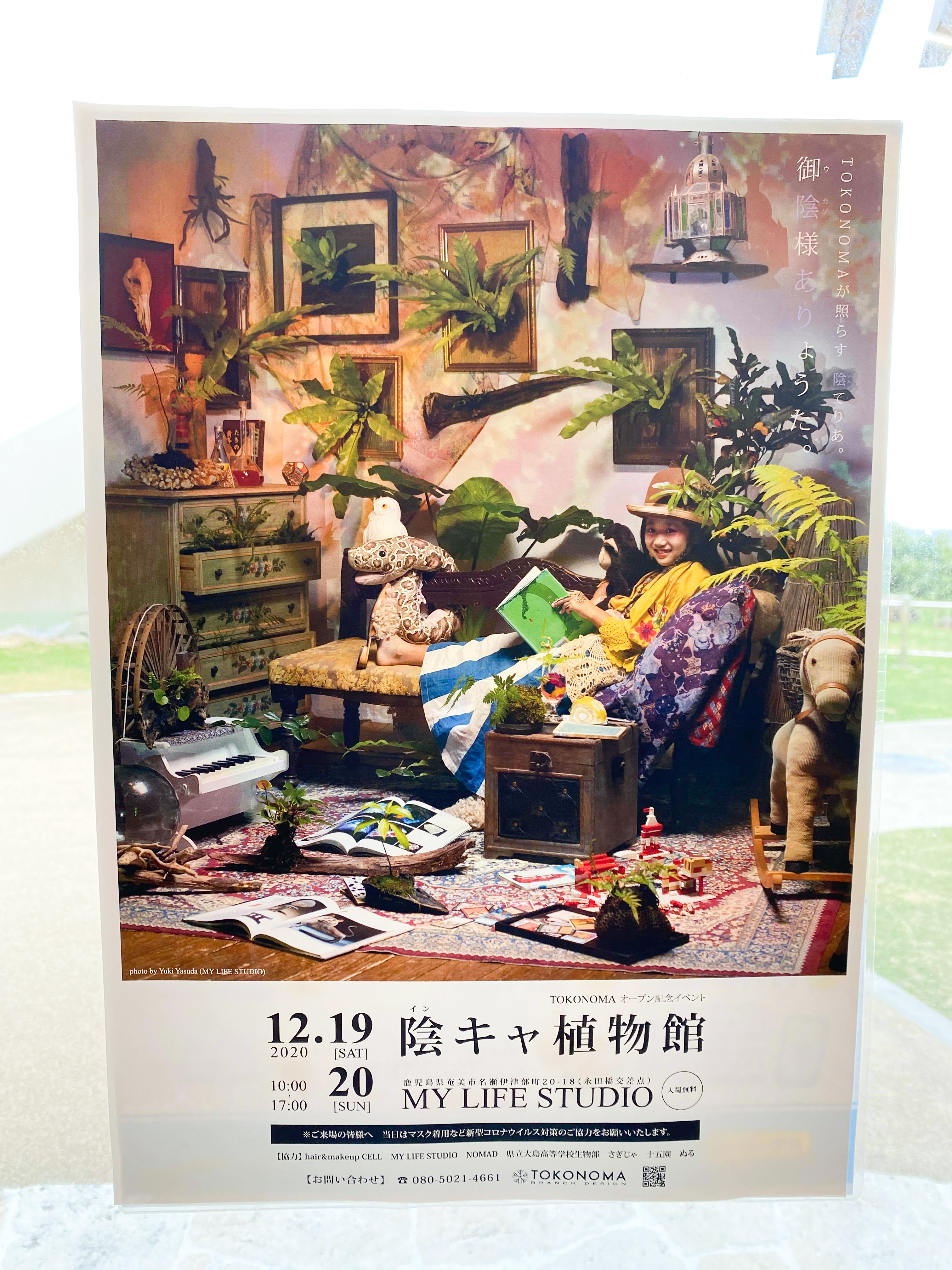 【怪しすぎて気になる】陰キャ植物館12月20日まで 【怪しすぎて気になる】陰キャ植物館12月20日まで