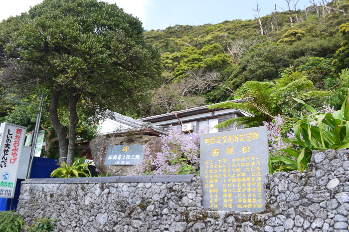 西郷さん＆愛加那さんと歩く～「第2回西郷南洲翁上陸記念祭」