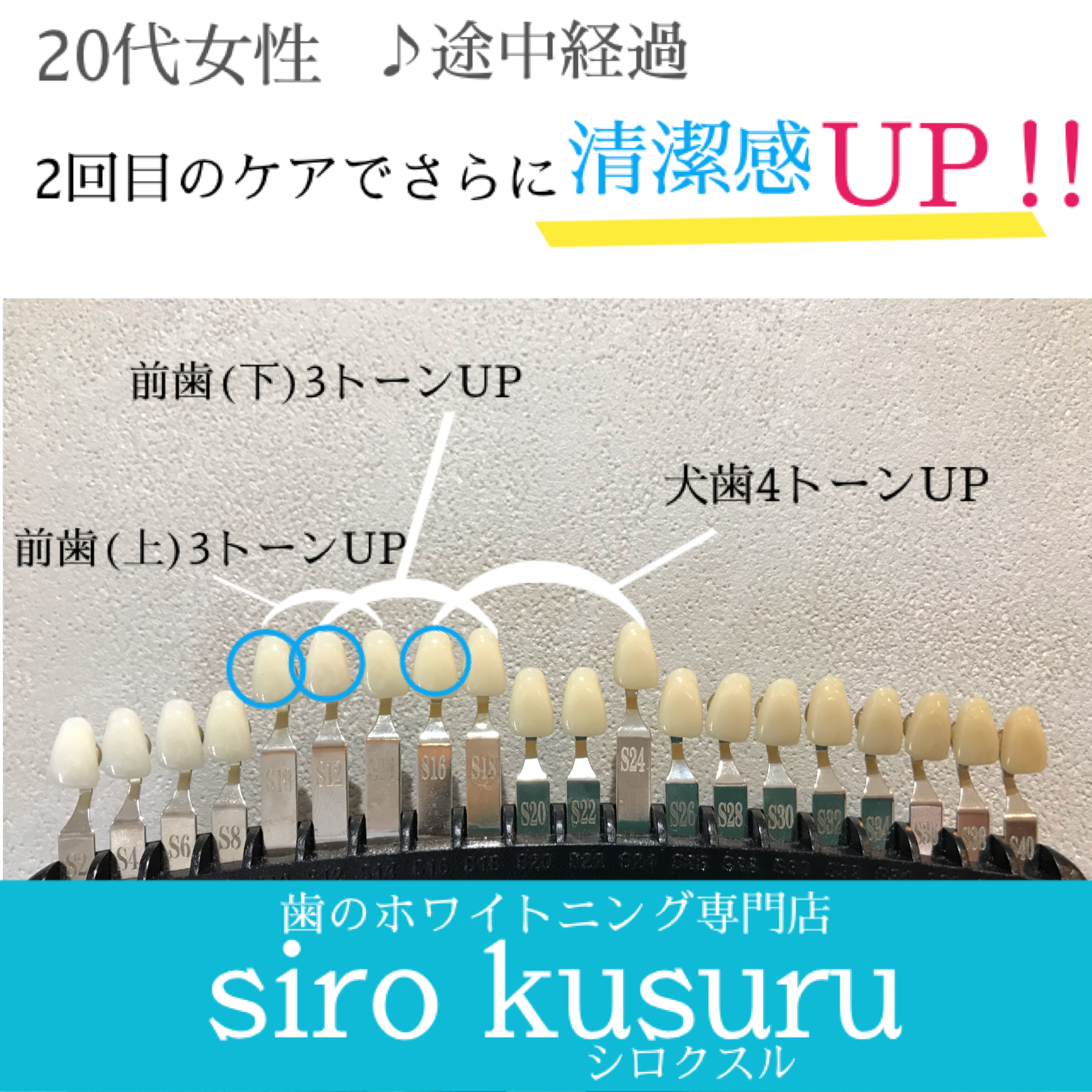 2月17日の記事 2月17日の記事
