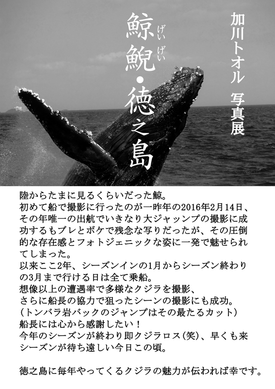 写真展「鯨鯢・徳之島」