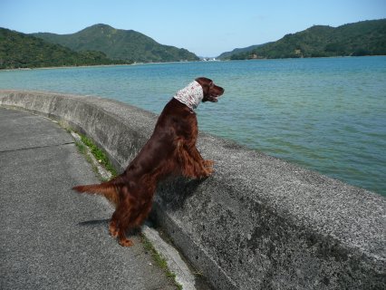 空へ 空へ