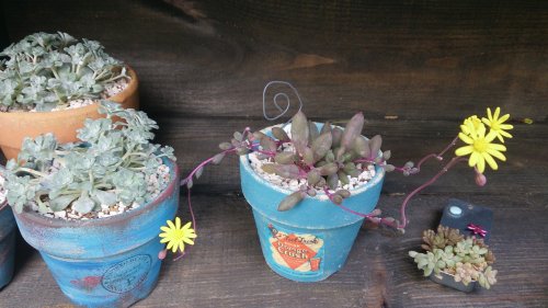 ルビーネックレスの花